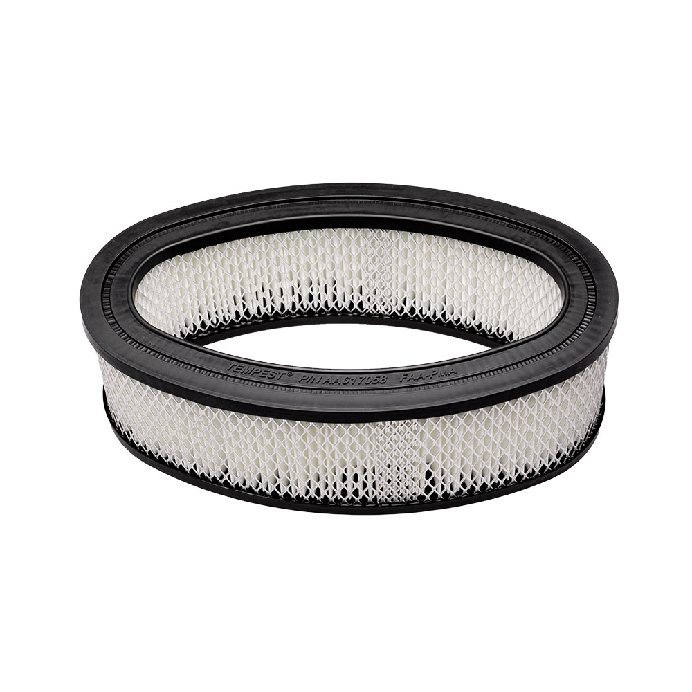 INDUCTION AIR FILTER
